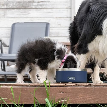 YETI Boomer Dog Bowl - Durable, Non-Slip & Insulated