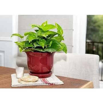 Garden & Home Red 8 Inch Indoor Ceramic Plant Pot with an Attached Saucer and Drainage Hole for Hous...