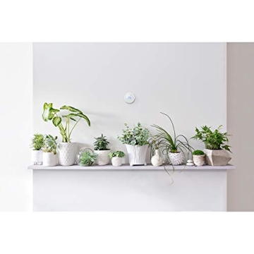 Nest Thermostat E Smart WiFi Thermostat Frosted White