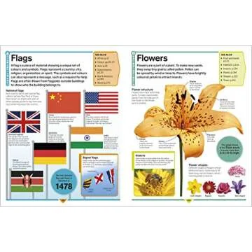 DK Childrens Encyclopedia