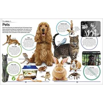 DK Childrens Encyclopedia