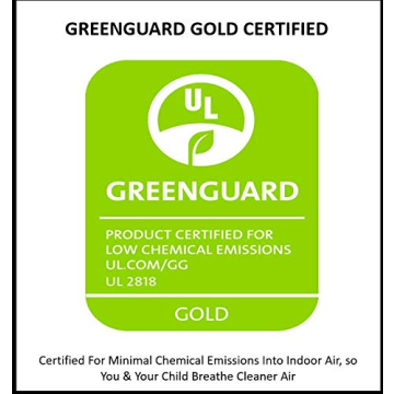 Contender Book Display - Encourage Early Reading in Kids