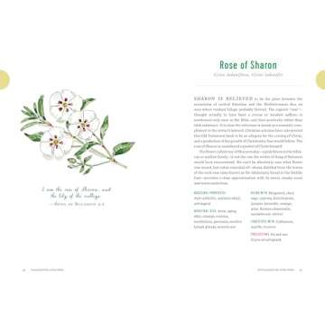 Essential Oils of the Bible: Connecting God's Word to Natural Healing