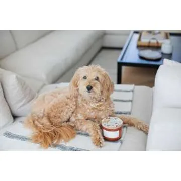 Sand + Paws Scented Candle - Pumpkin Harvest - Luxurious Air Freshening Jar Candles Neutralize pet Odors and Enhance Home décor – 100% Cotton Lead-Free Wicks - 12 oz