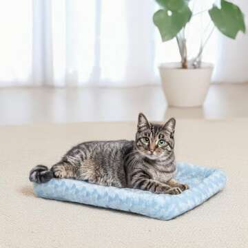 MidWest Bolster Dog Bed: Perfect for Tiny Breeds