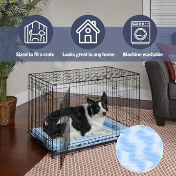 MidWest Bolster Dog Bed: Perfect for Tiny Breeds