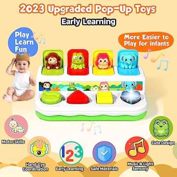 AINOI Baby Toys 6 to 18 Months, Preschool Early Learning Cause and Effect Interactive Infant Toys, L...