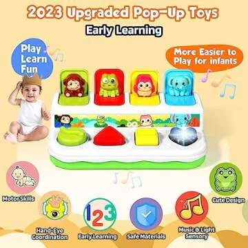 AINOI Baby Toys 6 to 18 Months, Preschool Early Learning Cause and Effect Interactive Infant Toys, L...