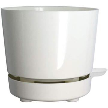 Self Watering 8" High Drainage Planter for Indoor & Outdoor