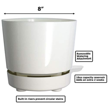 Self Watering 8" High Drainage Planter for Indoor & Outdoor