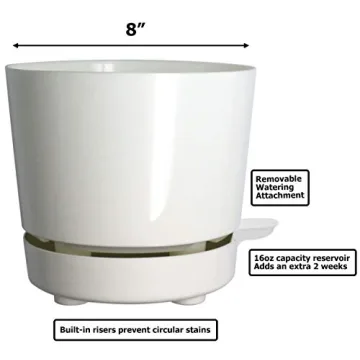 Self Watering 8" High Drainage Planter for Indoor & Outdoor