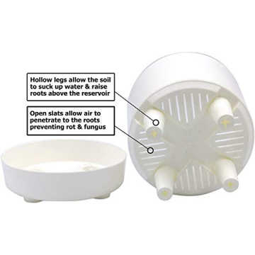 Self Watering 8" High Drainage Planter for Indoor & Outdoor