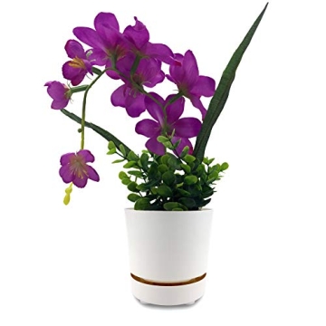 Self Watering 8" High Drainage Planter for Indoor & Outdoor