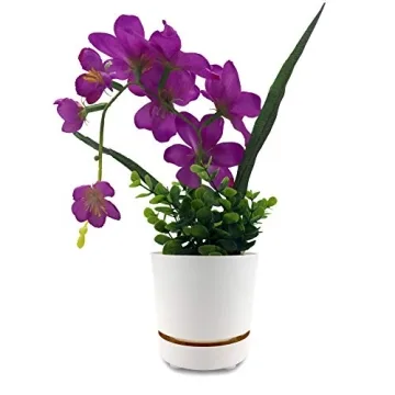 Self Watering 8" High Drainage Planter for Indoor & Outdoor