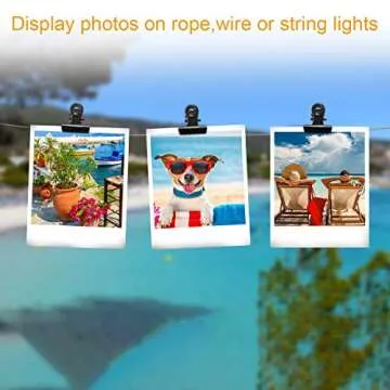 Coideal Black Small Bull Clips - 30 Pack Mini Metal Hinge Clips Tiny Binder Paper Clamps for Tags Bags Shops, Office and Home Kitchen (22mm)