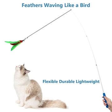 Interactive Cat Wand Toy with Feather Teasers for Indoor Cats