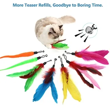 Interactive Cat Wand Toy with Feather Teasers for Indoor Cats