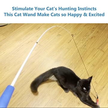 Interactive Cat Wand Toy with Feather Teasers for Indoor Cats