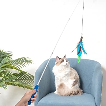 Interactive Cat Wand Toy with Feather Teasers for Indoor Cats