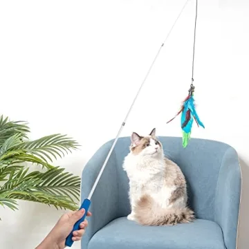 Interactive Cat Wand Toy with Feather Teasers for Indoor Cats