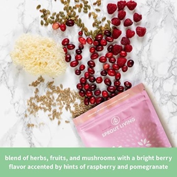 Sprout Living Epic Protein: Vegan Superfood Powder