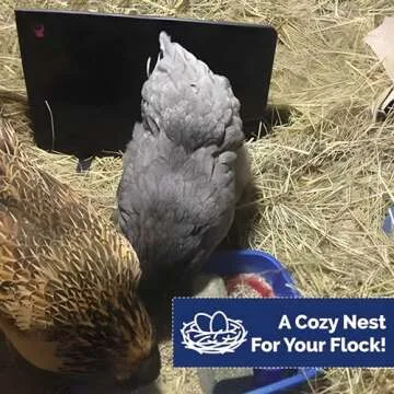 Cozy Products Cozy Coop, Chicken Coop Heater, Flat-Panel Radiant Heater with Thermal Protector, Energy-Efficient, Easy to Install, Ideal for Small Animals, 200 Watts, Black