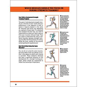 Strength Training Anatomy for Athletes