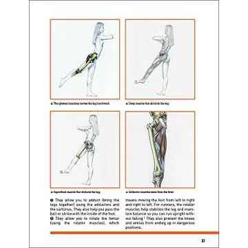 Strength Training Anatomy for Athletes