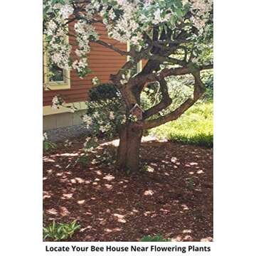 Mason Bee Houses and Supplies : Bamboo Tube Bee Hotel for Solitary Bees - Attract More Gentle Pollinating Bees to Your Garden by Providing Them with a Safe Bee Home Made from FSC Certified Wood