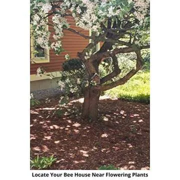 Mason Bee Houses and Supplies : Bamboo Tube Bee Hotel for Solitary Bees - Attract More Gentle Pollinating Bees to Your Garden by Providing Them with a Safe Bee Home Made from FSC Certified Wood