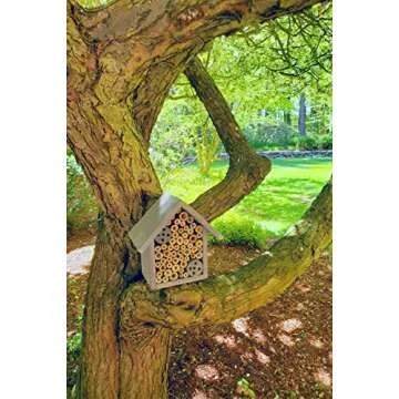 Mason Bee Houses and Supplies : Bamboo Tube Bee Hotel for Solitary Bees - Attract More Gentle Pollinating Bees to Your Garden by Providing Them with a Safe Bee Home Made from FSC Certified Wood