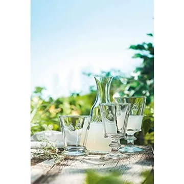 La Rochere 10oz Glass Tumbler Set of 2 – Bee Tumbler 9 oz