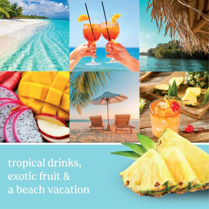 Bahama Breeze Scented Candle - Tropical 13oz Jar