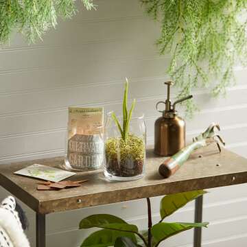 Bahama Breeze Scented Candle - Tropical 13oz Jar