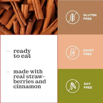 Delicious Katz Gluten Free Toaster Pastries - Cinnamon Flavored