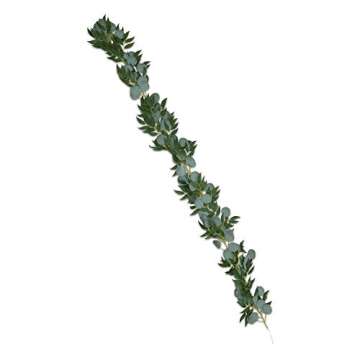 Premium Eucalyptus Willow Garland - Greenery Decorations - Artificial Decorative Backdrop - Wedding Reception/Special Event/Farmhouse Fake Plant Decoration - Indoor/Outdoor decor - Faux Hanging Ivy