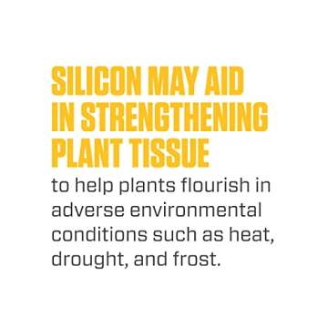 Botanicare Silica Blast Plant Supplement - 1 qt