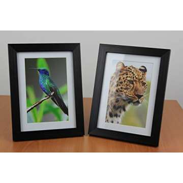 PPD Satin Photo Paper - Premium Semi-Gloss 4 x 6 Sheets