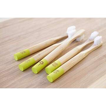 Rain Organic Bamboo Baby Toothbrush - 100% Safe Infant Toddler Kids Toothbrush 6 to 12 Months and Up, Natural BPA-Free Biodegradable Wood Toothbrush Extra Soft Bristles Children's Dental Care (1 Pack)