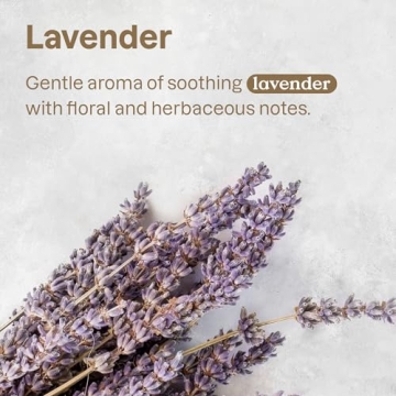 ATTITUDE 2in1 Nourishing Pet Shampoo & Conditioner 16 Fl Oz