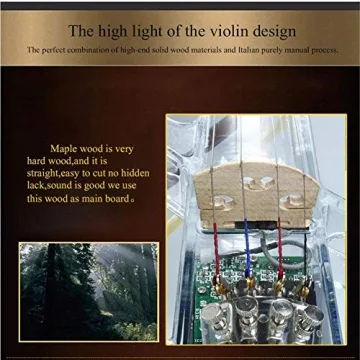 Exceptional 4/4 Electric Violin with LED Lights & Accessories