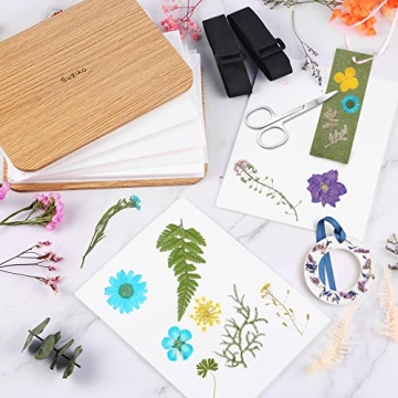 Suziko Flower Press Kit - Professional & Easy-to-Use