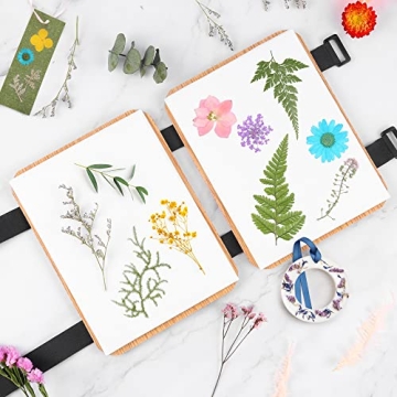 Suziko Flower Press Kit - Professional & Easy-to-Use
