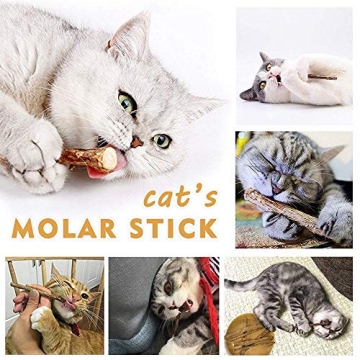 AILUKI 35 PCS Cat Toys for Happy Kittens and Cats