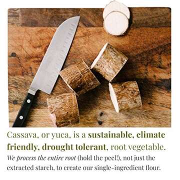 Otto's Naturals Cassava Flour (2 Lb. Bag) Grain-Free, Gluten-Free Baking Flour - Made From 100 % Yuca Root - Certified Paleo & Non-GMO Verified All-Purpose Wheat Flour Substitute (Pack of 2)2