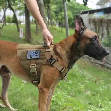 ICEFANG Tactical Dog Harness - Reflective, Adjustable & Safe