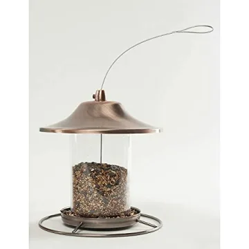 Wagner's Farmer's Delight Wild Bird Food Cherry Flavor 20LB