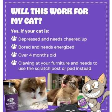 Cat Crack Organic Catnip, 100% Natural Cat Nips Organic Blend That Energizes and Excites Cats, Used for Cat Play, Training, & New Catnip Toys (1 Cup)