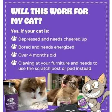 Cat Crack Organic Catnip, 100% Natural Cat Nips Organic Blend That Energizes and Excites Cats, Used for Cat Play, Training, & New Catnip Toys (1 Cup)