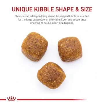 Royal Canin Maine Coon Breed Adult Dry Cat Food, 6 lb bag